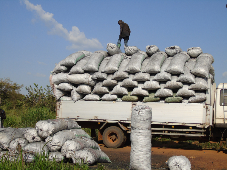 Bags of Charcoal destined for Kampala City being parked at Lii junction, Koch Goma Sub County