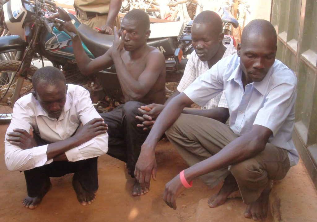 The four suspects found in illegal posession of Pangolins squat at Kitgum Central Police Station on Friday morning.